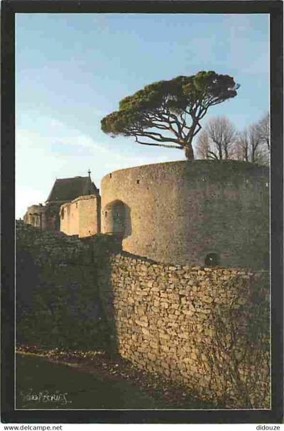 Carte Postale   44   Clisson   Le pin parasol du ch�teau   CPM   Voir Scans Rect