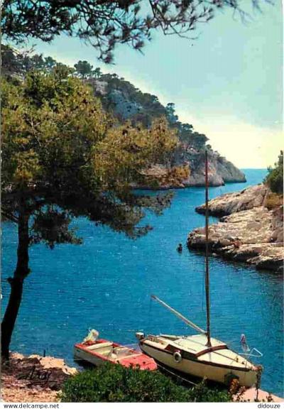 Carte Postale   13   Cassis   Calanque de Port Pin   Bateaux   Carte Neuve   CPM