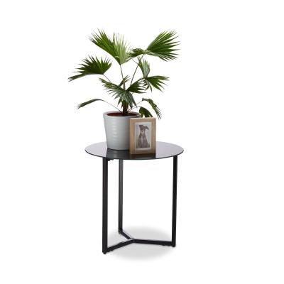 10023146_46 d appoint Ronde en Verre et M�tal, Table Bout de Canap� D�corative