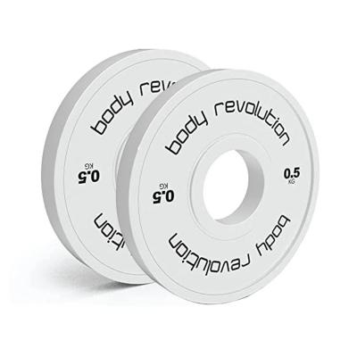 Paire disques 0,5 kg Body Revolution, 1 kg total, 50 mm.
