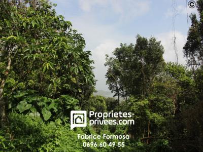 Terrain+les-trois-%26Icirc%3Blets+2240+m%26sup2%3B+0+pi%26egrave%3Bces