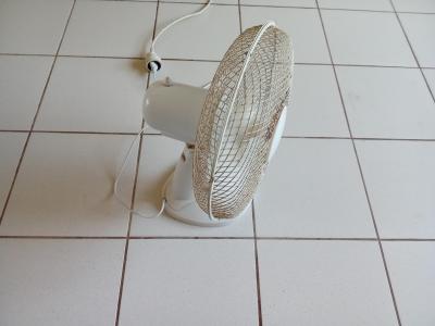 Ventilateur de Table 30cm   Performant & Silencieux   Id�al �t�