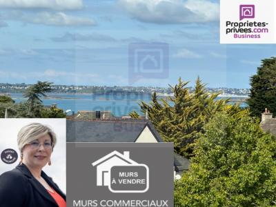 Professionnel+dinard+500+m%26sup2%3B+0+pi%26egrave%3Bces