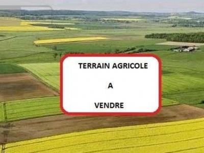 Terrain+villeneuve-les-beziers+0+m%26sup2%3B+0+pi%26egrave%3Bces