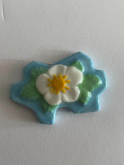 F�ve   Fleurs V�d�re   Edelweiss