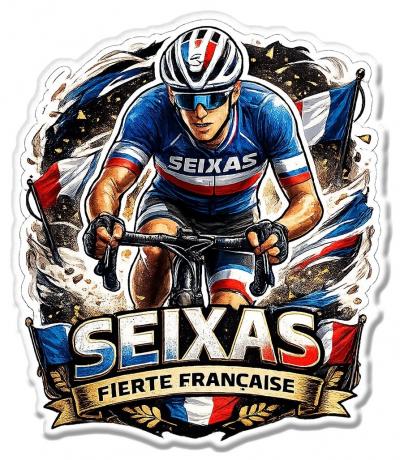 STICKER FIERTE CYCLISME VELO SEIXAS FRANCE TOUR PAUL TRICOLORE AUTOCOLLANT SZ104