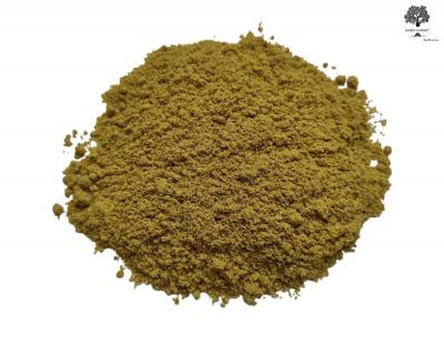 GRAINES DE FENOUIL 40G SACHET