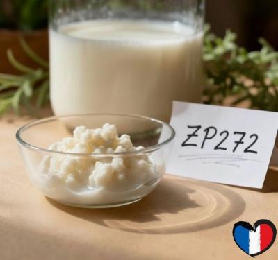 Grains de k�fir de lait   BIO   culture maison (livraison offerte)