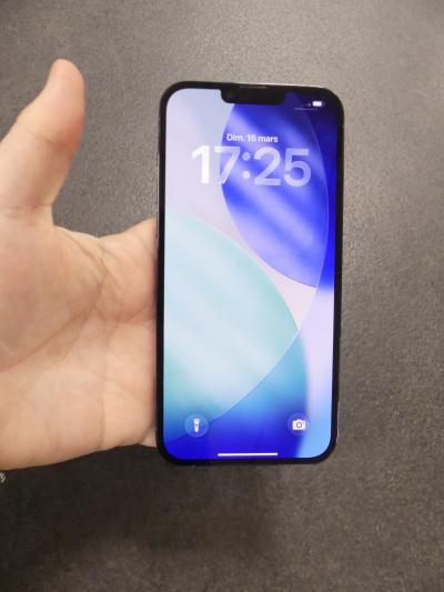 Apple IPhone 13 Pro Max bleu de 256GB (Occasion)