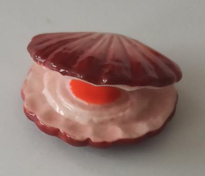 F�ve Coquille Saint Jacques. Lot 8