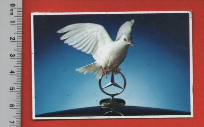 MERCEDES BENZ   AUTOMOBILE RALLYE RACING MECANIQUE GARAGE    AUTOCOLLANT