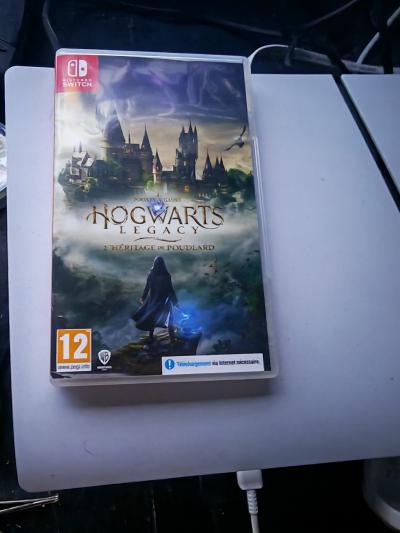 Hogwarts Legacy L'H�ritage de Poudlard Jeu Vid�o Nintendo Switch