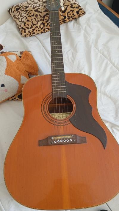 guitare acoustique Eko ranger 6