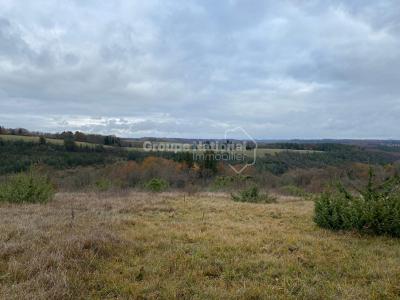 Terrain+rouffignac-saint-cernin-de-r+3200+m%26sup2%3B+0+pi%26egrave%3Bces