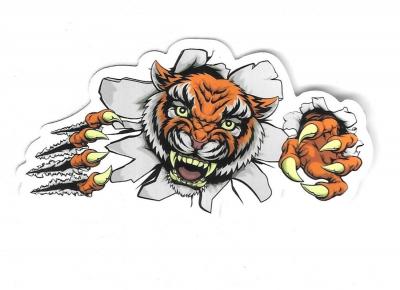 AUTOCOLLANT   TIGRE : DESSIN HUMOUR COMICS CARTOON FUN - STICKERS