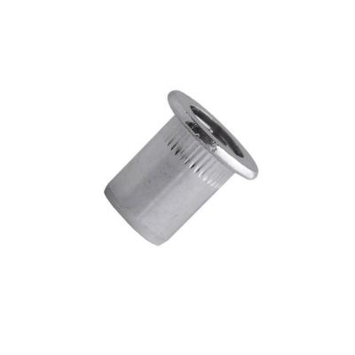 Ecrous crant�s acier t�te plate M10 L 25mm bo�te de 100 SCELL IT TCD1060