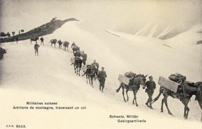 CPA Militaria Soldats R�giment Suisse Artillerie de Montagne � cheval (14788)