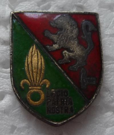 PIN'S MILITAIRE DE L'AALE DE LYON (EMAILLE) LEGION ETRANGERE