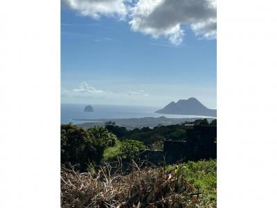 Terrain+sainte-luce+768+m%26sup2%3B+0+pi%26egrave%3Bces