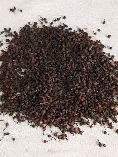 1kg de Poivre sauvage Voatsiperifery de Madagaskar