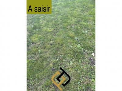 Terrain+la-gueriniere+0+m%26sup2%3B+0+pi%26egrave%3Bces