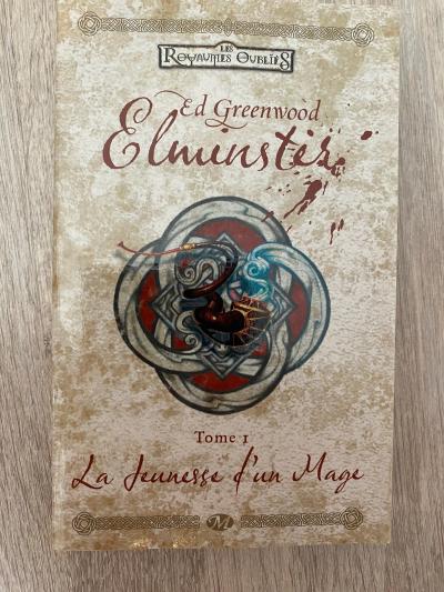 ELMINSTER LA JEUNESSE D UN MAGE  TOME 1   LES ROYAUMES OUBLIES