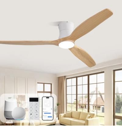 ventilateur de plafond