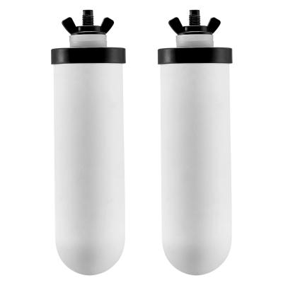 Filtres � Eau de Rechange Lot de 2, Purificateur d Eau Compatible
