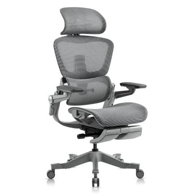 Fauteuils HINOMI H1 Pro V2 NEUF sous GARANTIE (quantit� 2)   couleur grise