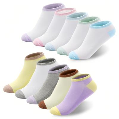 10 Paires Chaussettes Basses Femme 35 38 Coton Chaussettes Courtes Respirant