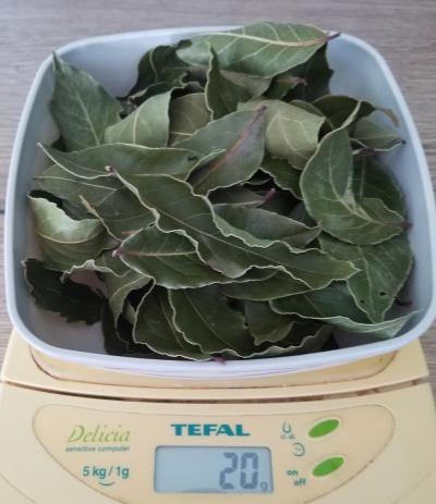 Lot De Feuilles de laurier S�ch�es
