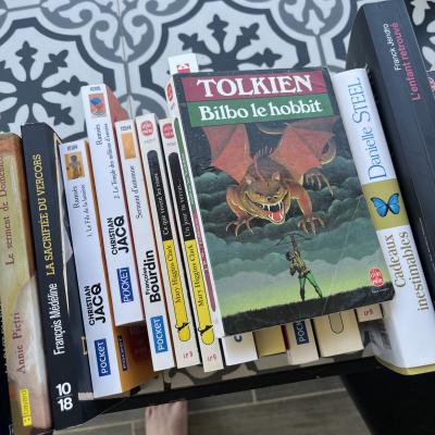 Un lot de 22 livre dont bilbo le hobbit