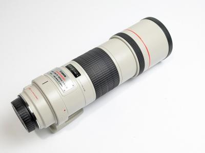 Canon EF 300mm f-4L IS USM Objectif   Blanc