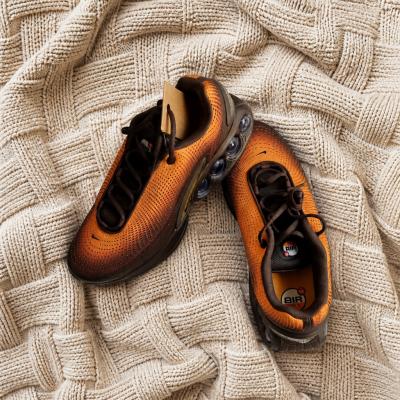 Nike Air Max Dn Sunset - Chocolate Taille 44 (Neuves sans bo�te)