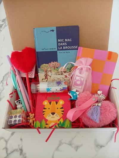 BookBox Enfants   MicMac dans la Brousse
