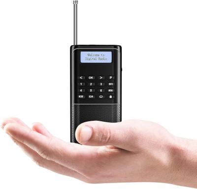 Raddy RD23 Radio Num�rique Portable Dab-Dab  Avec Bluetooth, 110 Stations Pr�r�g