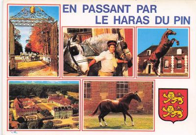 61 LE PIN AU HARAS LE HARAS DU PIN