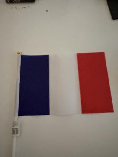 lot de 10 Mini Drapeau �quipe De France Coupe Du Monde 2026