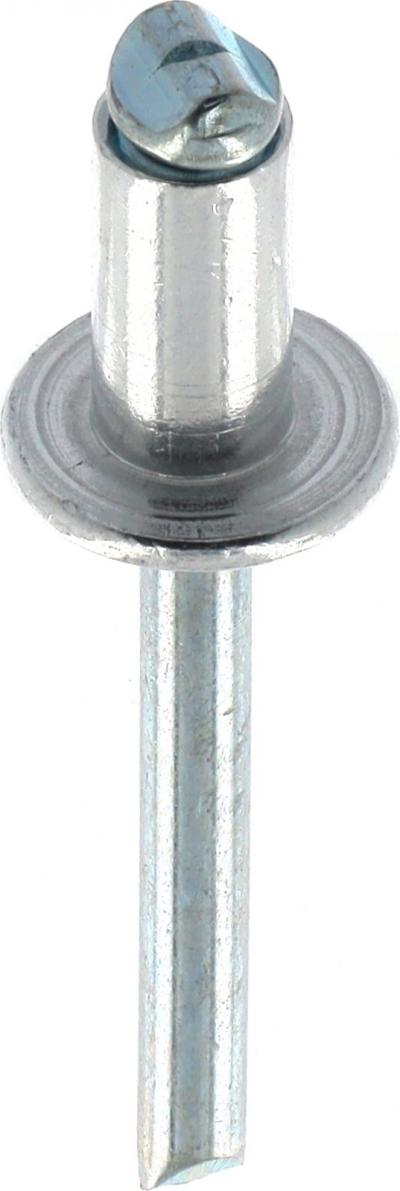 Rivet T�te Large Aluminium & Tige Acier   Compatible avec Citro�n, DS, Fiat