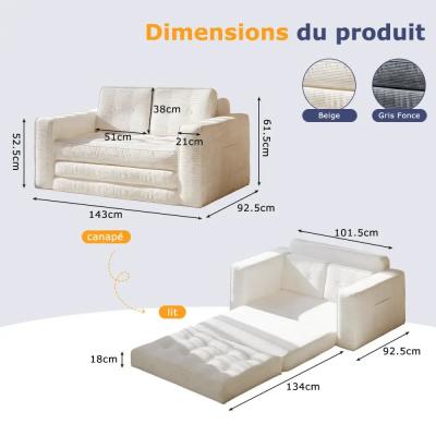 Canap� Lit Convertible Avec Oreillers Et Matelas Pour Salon