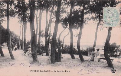 17 FOURAS LE BOIS DE PINS