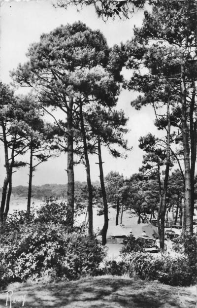 44 SAINT BREVIN LES PINS DANS LES PINS PRES DE LA COTE
