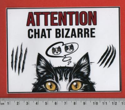 ATTENTION CHAT BIZARRE   AUTOCOLLANT