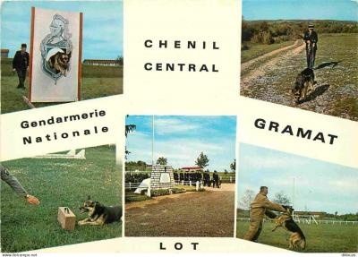 Carte Postale   Divers   Militaria   Gendarmerie Nationale   Chenil Central Gram