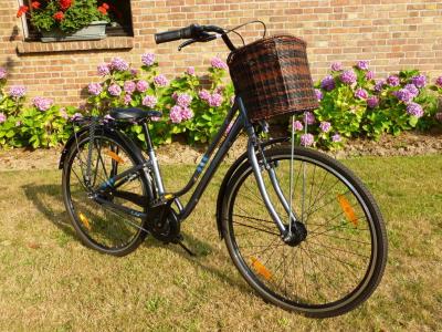 V�lo de ville dame mod�le FLOURISH 1 de marque GIANT �quip� SHIMANO  NEUf