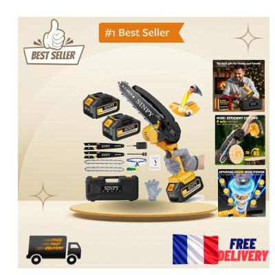Cadeau Id�al   Tron�onneuse � Batterie 6 Pouces avec 2 Cha�nes et Accessoires
