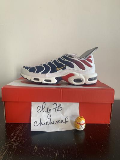 Nike Air Max Plus TN requin PSG 43 EU