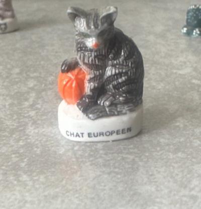 FEVE  CHAT EUROPEEN (2327)