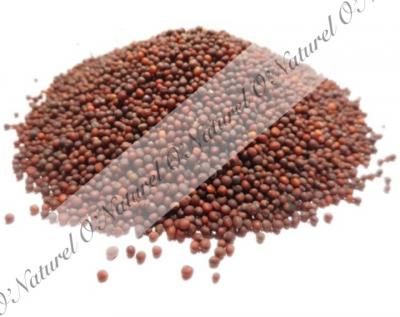 Graine de moutarde BIO 100% naturelle 40g Semilla de Mostaza