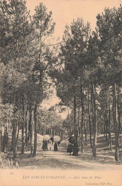 85 LES SABLES D OLONNE UNE ALLEE DANS LES PINS
